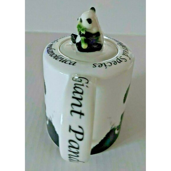 1st Wild Cafe Giant Panda Tea Pot Paul Cardew Porcelain Endangered Species 15 Oz - Picture 4 of 6